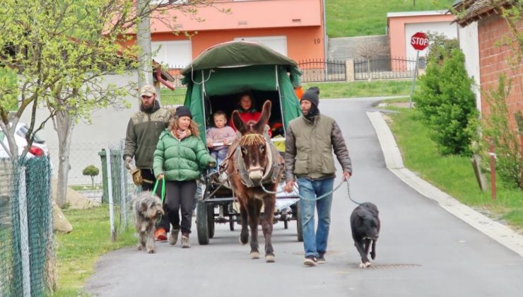 İsrail’e tepki için eşek arabası ve bisikletle Filistin’e gidiyorlar