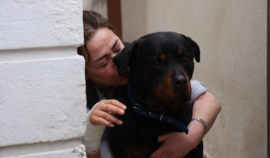 Sakarya’da köpek besleyen kadın sokak köpeğinin saldırısına uğradı: ‘Ölümden döndüm’