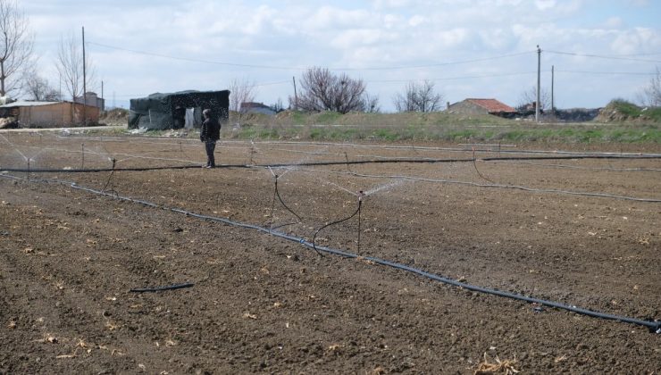 Eskişehir’de çiftçiler en kurak kış nedeniyle tarlalarını 2 ay önceden sulamaya başladı