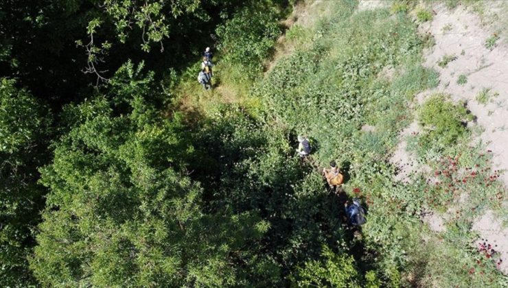 Osmanlı’nın hac güzergahı: Sufi Yolu