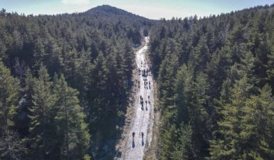 Ankara’da ormanlık alanlara giriş yasağı getirildi