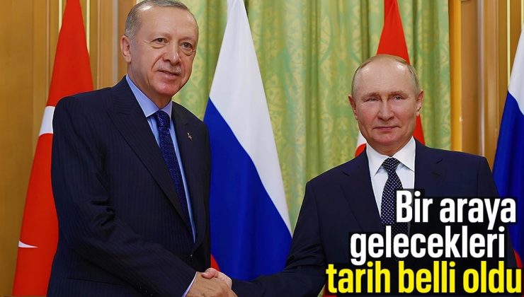 Cumhurbaşkanı Erdoğan – Vladimir Putin görüşmesi için tarih belli oldu