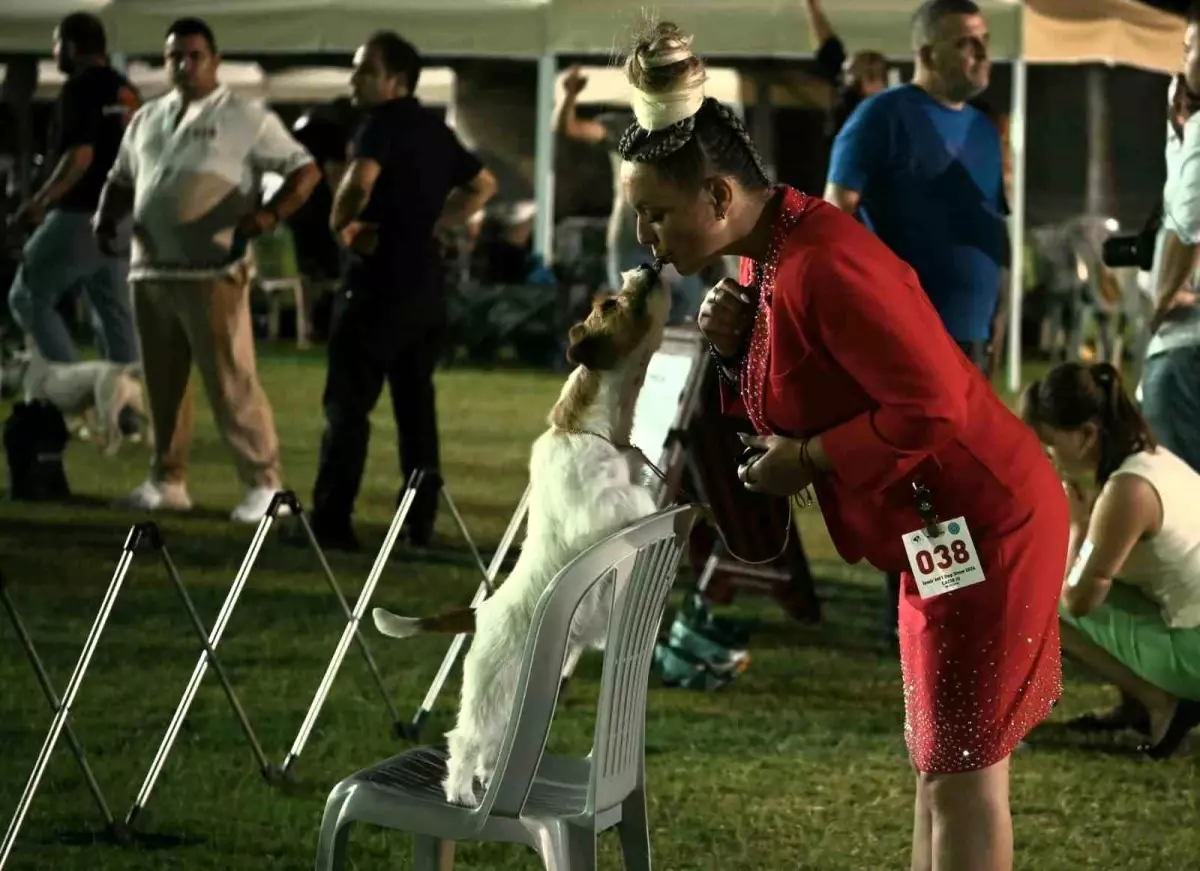 Kuşadası International Dog Show Sonuçlandı