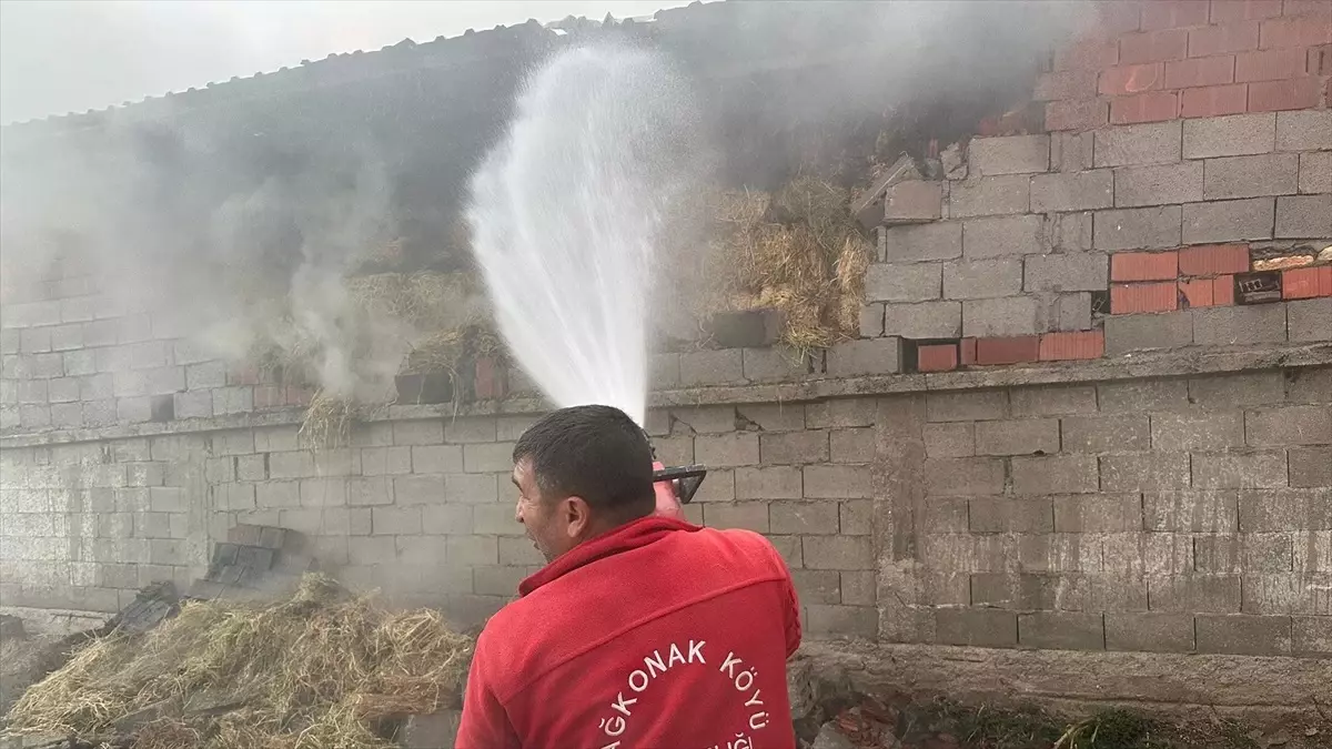 Yalvaç’ta Besihanede Yangın: 12 Hayvan Can Verdi